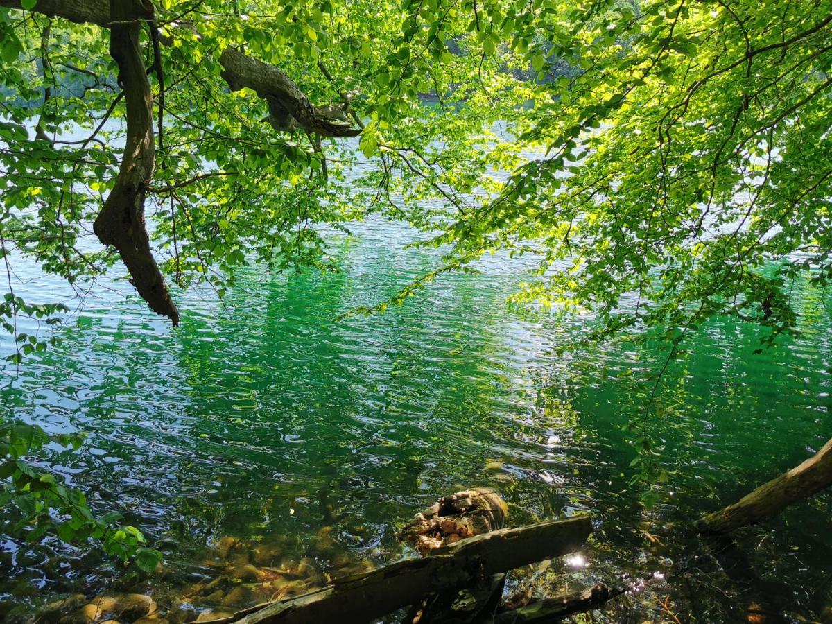 Tweet Tohuus Apartment Feldberger Seenlandschaft Екстериор снимка